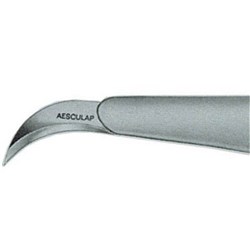 SCALPEL with Handle #12 Pk of 10
