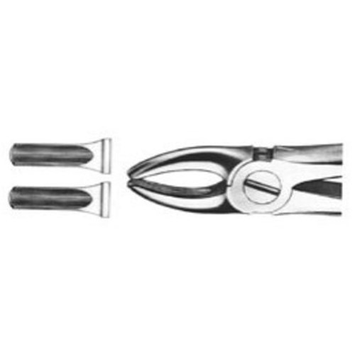 FORCEPS #1 DG006R Upper Incisors & Canines wide