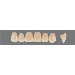Vita Vitapan 3D, Upper, Anterior, Shade 3M2, Mould X96