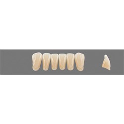 Vita Vitapan 3D, Lower, Anterior, Shade 3R15, Mould L5