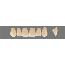 Vita Vitapan 3D, Upper, Anterior, Shade 3R15, Mould X87