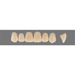 Vita Vitapan 3D, Upper, Anterior, Shade 3R25, Mould X96