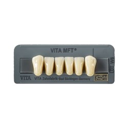 Vita MFT Lower, Anterior, Shade 0M3, Mould L40