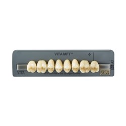 Vita MFT Upper, Posterior, Shade 0M3, Mould PU29