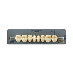 Vita MFT Lower, Posterior, 3D Shade 3M1, Mould PL29