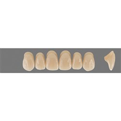 Vita MFT Upper, Anterior, Shade 4L15 C3, Mould O49