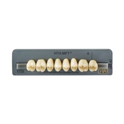 Vita MFT Upper Posterior, Shade C1, Mould PU33