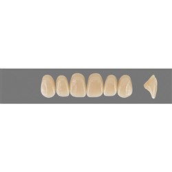 Vita MFT Upper, Anterior, Classical Shade C3, Mould O44