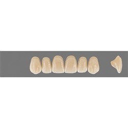 VITA MFT Upper Anterior Classical Shade C3 Mould R45