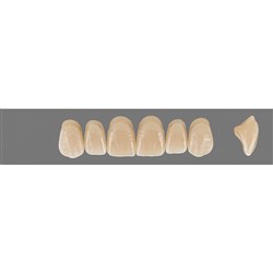 VITA MFT Upper Anterior Classical Shade C3 Mould S47