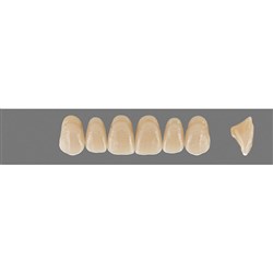 VITA MFT Upper Anterior Classical Shade C3 Mould T46