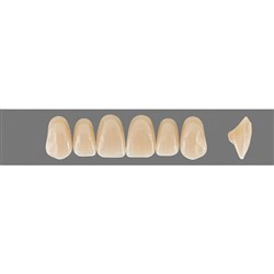 VITA MFT Upper Anterior Classical Shade C3 Mould T49