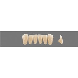 Vita MFT Lower, Anterior, Classical Shade D3, Mould L33