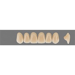 Vita MFT Upper, Anterior, Classical Shade D3, Mould R47