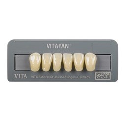 VITAPAN Classical Lower Anterior Shade A1 Mould L13