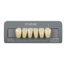 Vita Vitapan Classical Lower, Anterior, Shade A2, Mould L15