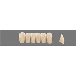 VITAPAN Plus Lower Anterior Shade A2 Mould L37 Classical