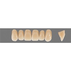 Vita Physiodens Classic Upper, Anterior, Shade D3, Mould X1M
