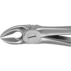 FORCEPS #55 DG805R separating upper molar roots