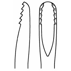 Aesculap Elevator - LINDO-LEVIAN - 4mm Blade - Straight - DL057R