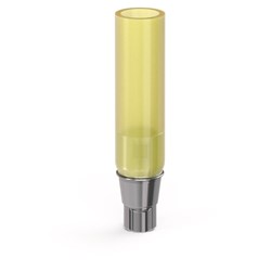 Gold-Plastic Abutment Regular pk of 1