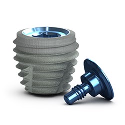 Tapered IM Implant Laser-Lok RBT 8mm x 7.5mm