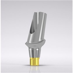 CNLGEsthomic abutment 15d angled Type B D 3.8