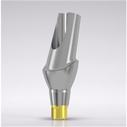 CNLGEsthomic abutment 15d angled Type B D 3.8