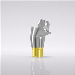 CNLGBar abutment 17 angled type B red. head D 3.8