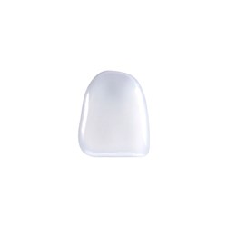 Coltene Brilliant Componeer - Prefabricated Composite Shells - Shade Translucent - XL22, 1-Pack