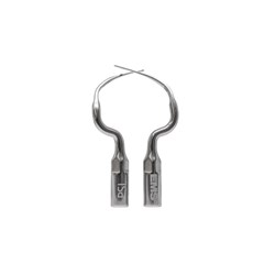 EMS Scaling Instrument Tips PSL and PSR