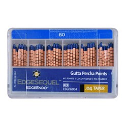 EdgeSEQUEL GP 04 Taper Size 60 Pack of 60