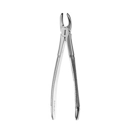 FORCEPS Mead Serrated #MD2 Upper 1st, 2nd & 3rd Molars