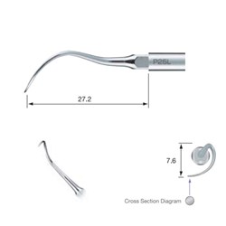 Perio Tip P25L-E for EMS Ultrasonic Scaler