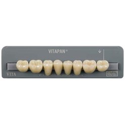 Vita Vitapan Classical Lower, Posterior, Synoform, Shade A3, Mould 10S