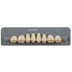 Vita Vitapan Classical Upper, Posterior, Synoform, Shade D3, Mould 12S