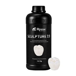 Rodin Sculpture 2.0 Shade C1 600g