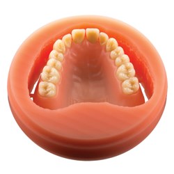 PoliDent Pink Disc - Veined - 98.5 x 25mm