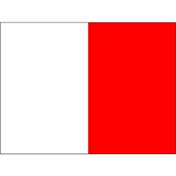 BRITEGUARD Mouthguard 5mm Red and White Square