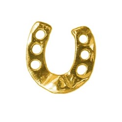 Twinkles - Tooth Jewellery - Horseshoe - Gold 22k