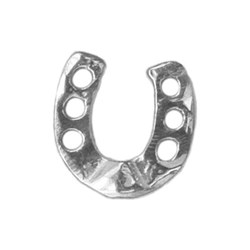 Twinkles - Tooth Jewellery - Horseshoe with Diamond 0,01ct - White Gold 18k