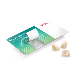 Vita VIONIC VIGO - Posterior - Shade B3, Mould 22L - OK Upper