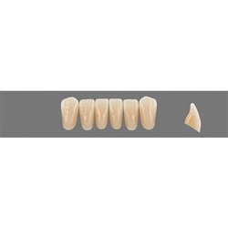 Vita Vitapan EXCELL Classical, Lower, Anterior, Shade A2, Mould L35