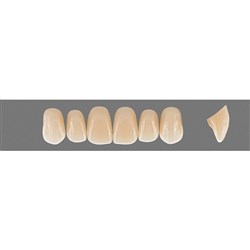 Vita Vitapan EXCELL Classical, Upper, Anterior, Shade A4, Mould O47