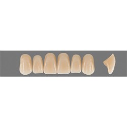Vita Vitapan EXCELL Classical, Upper, Anterior, Shade A4, Mould R49