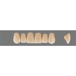 Vita Vitapan EXCELL Classical, Upper, Anterior, Shade A4, Mould S46