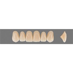 Vita Vitapan EXCELL Classical, Upper, Anterior, Shade A4, Mould T48