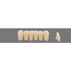 Vita Vitapan EXCELL Classical, Lower, Anterior, Shade B2, Mould L37