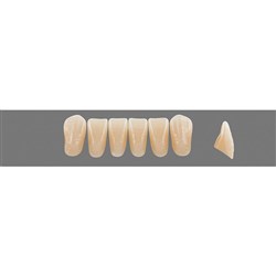 Vita Vitapan EXCELL Classical, Lower, Anterior, Shade B2, Mould L39