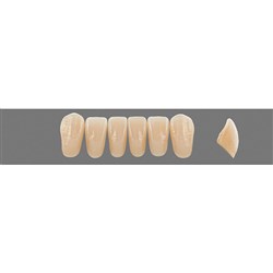 Vita Vitapan EXCELL Classical, Lower, Anterior, Shade B2, Mould L41